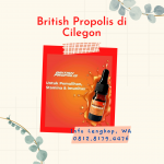 British Propolis di Cilegon