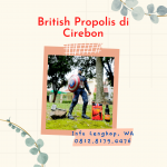 British Propolis di Cirebon