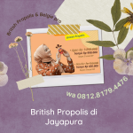 British Propolis di Jayapura